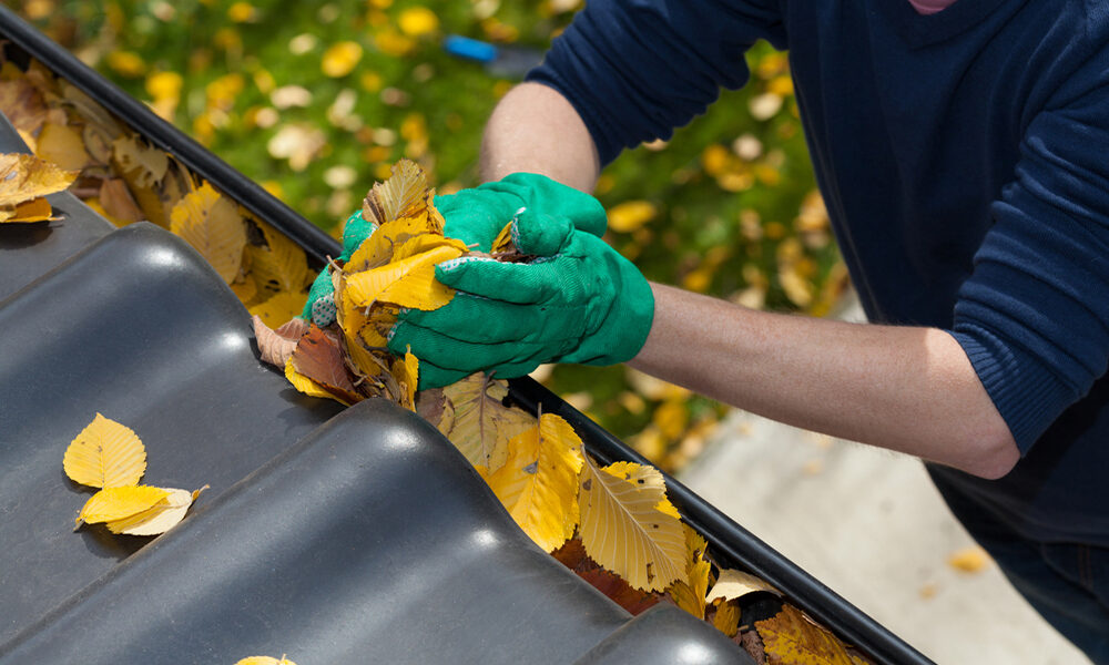 we restore gutter cleaning